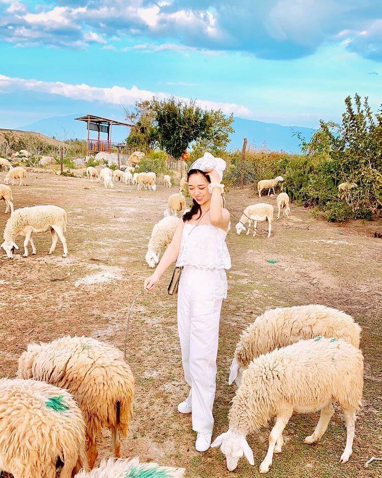 Tham quan cừu trong trang trại tại thôn An Hòa. Ảnh: central_black_