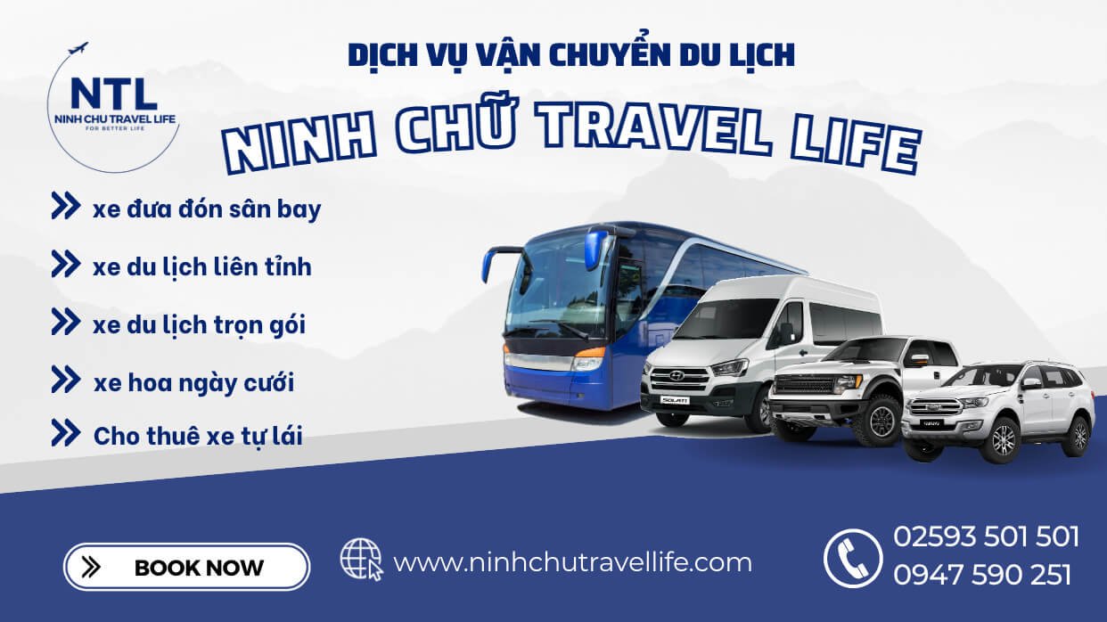 Trải nghiệm dịch vụ xe du lịch Ninh Thuận với chất lượng và giá tốt nhất tại Ninh Chữ Travel Life